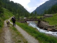 VALLE SOANA - Nuova diga: anche il Pd appoggia il progetto