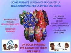 CALUSO-RIVAROLO - Le uova di Pasqua aiutano i cuccioli nei rifugi