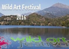 CHIAVERANO - Torna il Wild Art Festival