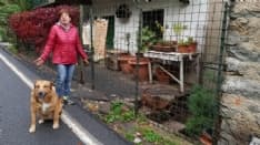 PONT - Ultimo appello per Grazia e i suoi 14 cani sfortunati