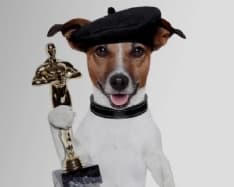 PET - Can che abbaia non morde (sta recitando)