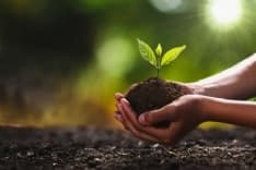 CANAVESE - Legambiente, nel week-end torna la Festa dell'albero