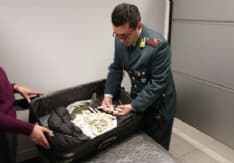 CASELLE - Importa coralli dalla Colombia: bloccata in aeroporto