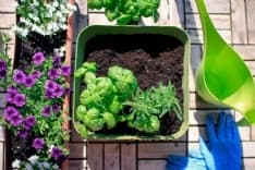 CORONAVIRUS - Le ultime cinque cose da fare durante la quarantena - VIDEO