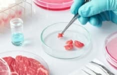 CANAVESE - I Comuni con Coldiretti contro il cibo sintetico