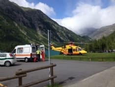 CERESOLE - Morso da una vipera durante la corsa - FOTO