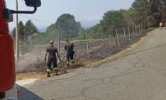 BOLLENGO - Incendio sulla serra, fiamme vicino a boschi e case: intervento dei vigili del fuoco - FOTO