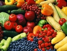 SAN BENIGNO - E' partito nelle scuole «Il giro del mondo in 8 menù»