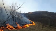 CANISCHIO - Spento il rogo a Mares - VIDEO AIB TRA LE FIAMME