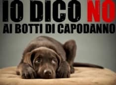 RIVAROLO CANAVESE - Il Comune vieta i botti di Capodanno anche a Natale