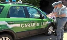 CASTELLAMONTE - Reati ambientali in un agriturismo: otto persone denunciate dai carabinieri forestali