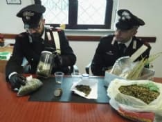 CASTELLAMONTE - Droga in casa, 34enne italiano denunciato - VIDEO