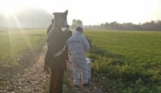 CHIVASSO - Abbandonano nei campi il cadavere dell'amico
