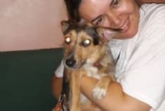 CASELLE - Ritrovata la cagnolina scappata sulla pista dell'aeroporto