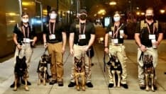 MUSICA – I cani antivirus dei Metallica