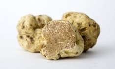 FOOD - Brexit effect: gli inglesi copiano il tartufo bianco