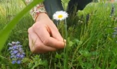 RIVAROLO - Basta con l'hashtag #andràtuttobene. Dall'Aldo Moro il video per #unNuovoDomani - VIDEO