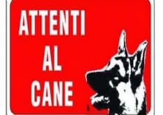 PERTUSIO - I cani meglio dell'antifurto: svegliano mezzo paese e mettono in fuga i ladri