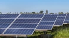 CANAVESE - Coldiretti dice «no» a nuovi campi fotovoltaici: «I pannelli mettiamoli sui tetti»