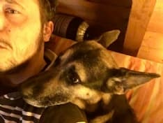 COLLERETTO CASTELNUOVO - Orrore a Santa Elisabetta: il cane Dark ucciso con un colpo di fucile nel giardino di casa - FOTO