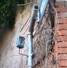 CANDIA - Escrementi di cani ovunque: il Comune piazza le fototrappole contro i padroni incivili