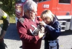 CUORGNE' - Lancia il gatto nel torrente Orco: denunciata una donna di 72 anni