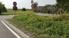 RIVAROLO - L'erba alta ad Argentera si «mangia» i marciapiedi - FOTO