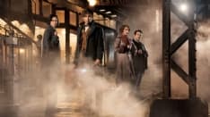 «Animali fantastici e dove trovarli» non è un film per bambini...