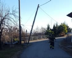 CANAVESE - Vento forte in numerosi Comuni: giù alberi e pali