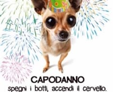 RIVAROLO - Botti vietati a Natale e Capodanno: ordinanza del sindaco Rostagno