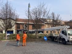 CHIVASSO - Città più green: potati e piantumati nuovi alberi - FOTO