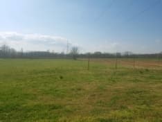 VOLPIANO - Un terreno abbandonato diventa il «frutteto comunitario»