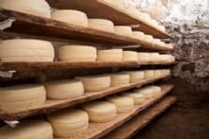 SALONE DEL GUSTO - Anche il Parco nazionale del Gran Paradiso protagonista