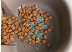 RIVARA - Veleno nelle ciotole per ammazzare i gatti: i volontari denunciano il caso ai carabinieri