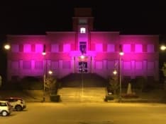BOLLENGO - Il municipio è rosa per la lotta contro i tumori delle donne