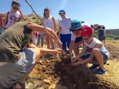 CALUSO - I bimbi delle scuole mettono a dimora nuovi alberi ad Arè
