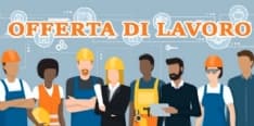 OFFERTA DI LAVORO - Azienda ricerca nuovo personale