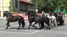IVREA - San Savino senza cavalli: il coronavirus fa saltare la fiera equina. Resteranno solo gli appuntamenti religiosi