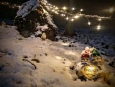 PRASCORSANO - Il bosco incantato di borgata Tetti conquista grandi e piccini - FOTO