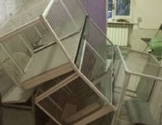 TORINO - Ambulatorio distrutto: canile costretto a chiudere. L'Enpa: «Sono stati i Rom»