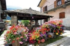 COMUNI FIORITI - Il Comune di Ingria candidato per l'Italia al «Communities in Bloom»