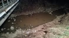 VALPERGA - Liquame sospetto nelle acque del torrente Gallenca