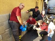 FAVRIA - Un serpente sbuca dal motore dell'auto: recuperato dai vigili del fuoco - FOTO e VIDEO