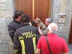 CASTELLAMONTE - Incendio alloggio: salvi pensionato e cane - VIDEO