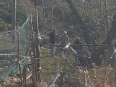 PRASCORSANO - Ex autista della Gtt trovato morto in un campo