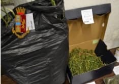 IVREA - Giovane di 17 anni arrestato dalla polizia per spaccio