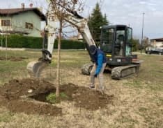 LEINI - 16 nuovi tigli al Capirone: primo passo di una serie di piantumazioni per la festa dell'albero