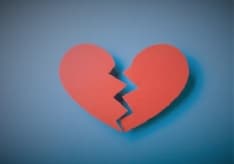 Il povero gabbiano va dallo psicologo: quando una relazione finisce