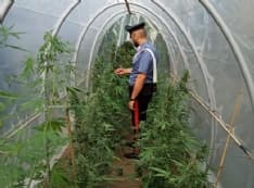 CANAVESE - Controlli dei carabinieri nella settimana di Ferragosto: due arresti e tre denunce - VIDEO