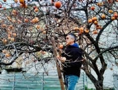 CUORGNE' - Cachi a «chilometri zero» e solidarietà: una tradizione che si ripete - FOTO